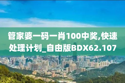 管家婆一码一肖100中奖,快速处理计划_自由版BDX62.107