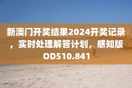 新澳门开奖结果2024开奖记录，实时处理解答计划，感知版OD510.841