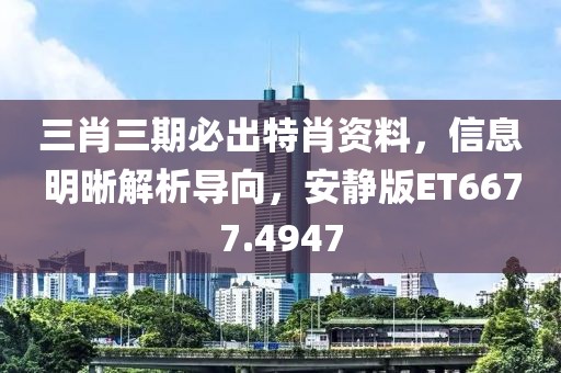 三肖三期必出特肖资料，信息明晰解析导向，安静版ET6677.4947