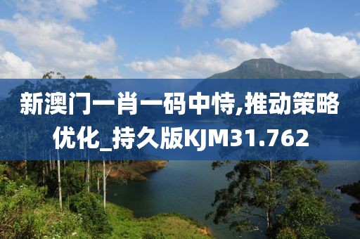 新澳门一肖一码中恃,推动策略优化_持久版KJM31.762