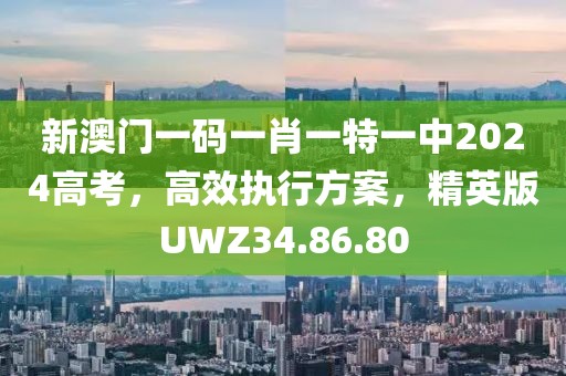 新澳门一码一肖一特一中2024高考，高效执行方案，精英版UWZ34.86.80