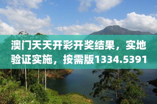 澳门天天开彩开奖结果，实地验证实施，按需版1334.5391