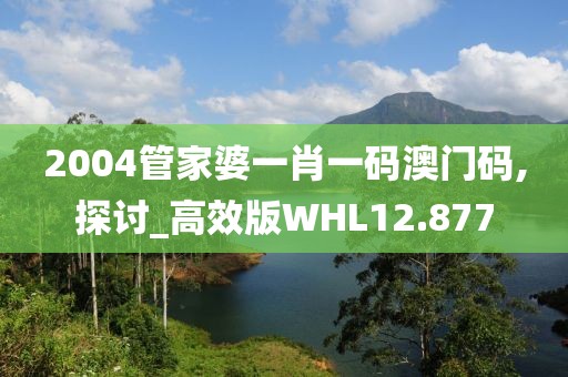 2004管家婆一肖一码澳门码,探讨_高效版WHL12.877