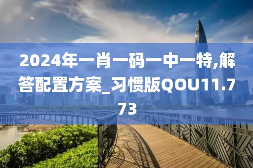 2024年一肖一码一中一特,解答配置方案_习惯版QOU11.773