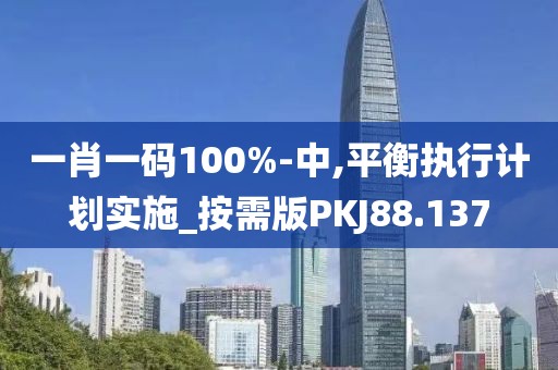 一肖一码100%-中,平衡执行计划实施_按需版PKJ88.137