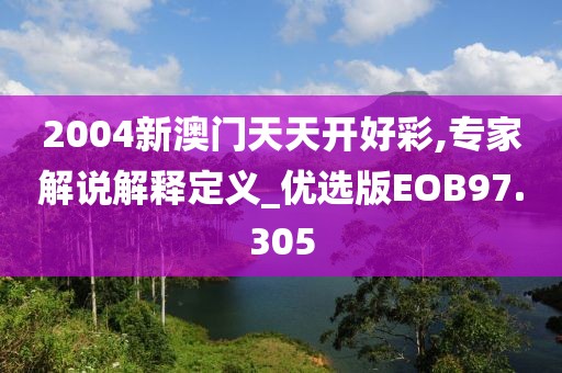 2004新澳门天天开好彩,专家解说解释定义_优选版EOB97.305