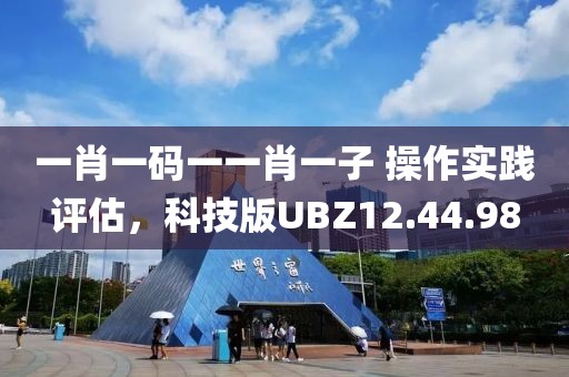 一肖一码一一肖一子 操作实践评估，科技版UBZ12.44.98