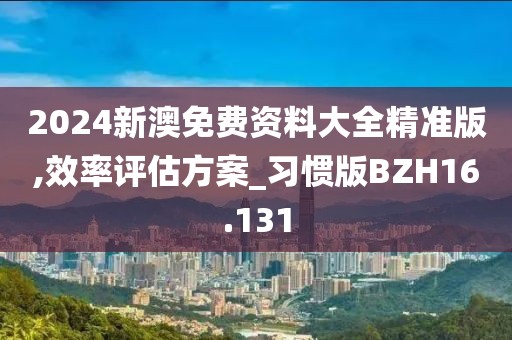 2024新澳免费资料大全精准版,效率评估方案_习惯版BZH16.131