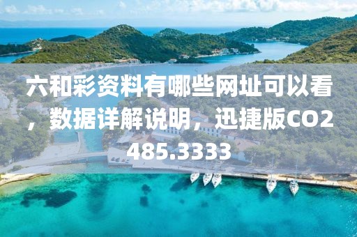 六和彩资料有哪些网址可以看，数据详解说明，迅捷版CO2485.3333