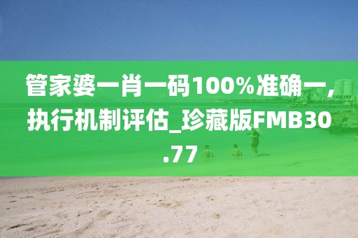 管家婆一肖一码100%准确一,执行机制评估_珍藏版FMB30.77