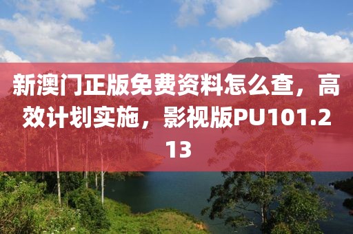 新澳门正版免费资料怎么查，高效计划实施，影视版PU101.213