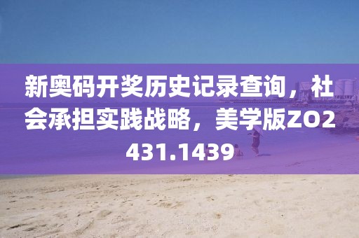 新奥码开奖历史记录查询，社会承担实践战略，美学版ZO2431.1439