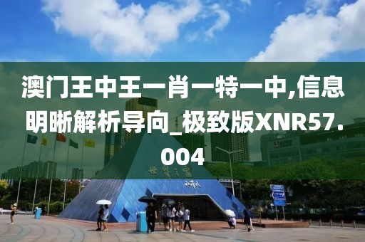 澳门王中王一肖一特一中,信息明晰解析导向_极致版XNR57.004