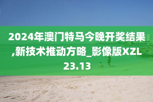 2024年澳门特马今晚开奖结果,新技术推动方略_影像版XZL23.13