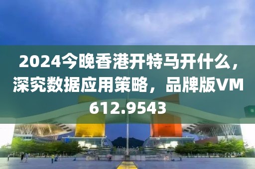 2024今晚香港开特马开什么，深究数据应用策略，品牌版VM612.9543