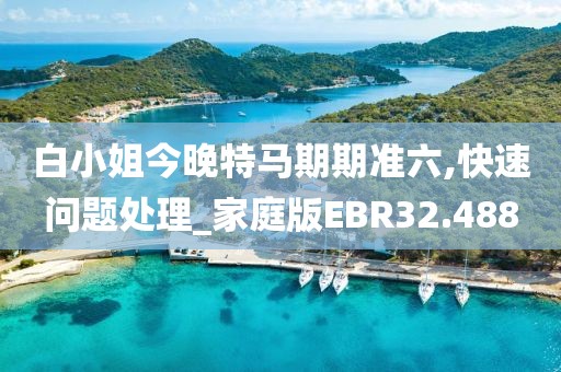 白小姐今晚特马期期准六,快速问题处理_家庭版EBR32.488