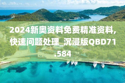 2024新奥资料免费精准资料,快速问题处理_沉浸版QBD71.584