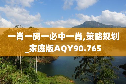 一肖一码一必中一肖,策略规划_家庭版AQY90.765