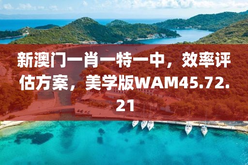 新澳门一肖一特一中，效率评估方案，美学版WAM45.72.21