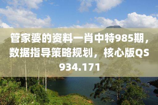 管家婆的资料一肖中特985期，数据指导策略规划，核心版QS934.171