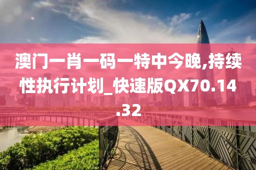 澳门一肖一码一特中今晚,持续性执行计划_快速版QX70.14.32