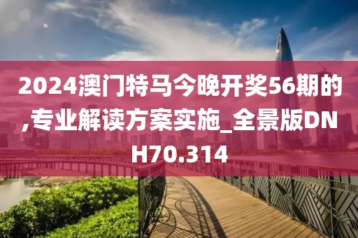 2024澳门特马今晚开奖56期的,专业解读方案实施_全景版DNH70.314