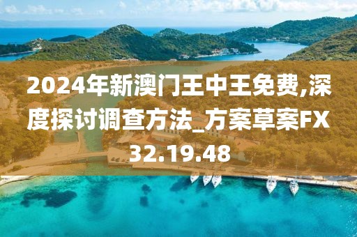 2024年新澳门王中王免费,深度探讨调查方法_方案草案FX32.19.48