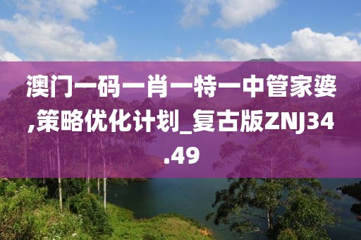澳门一码一肖一特一中管家婆,策略优化计划_复古版ZNJ34.49