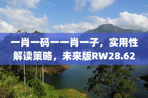 一肖一码一一肖一子，实用性解读策略，未来版RW28.62