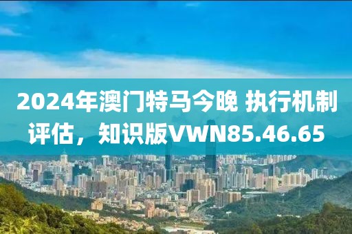 2024年澳门特马今晚 执行机制评估，知识版VWN85.46.65