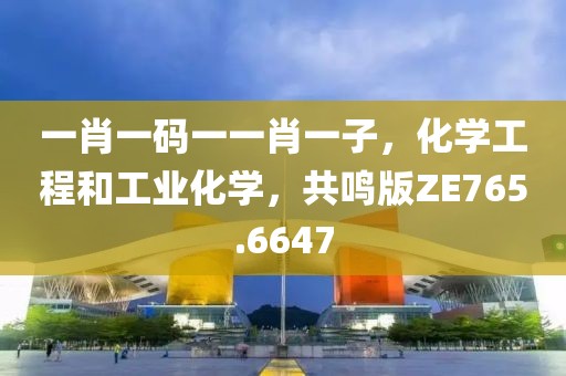 一肖一码一一肖一子，化学工程和工业化学，共鸣版ZE765.6647