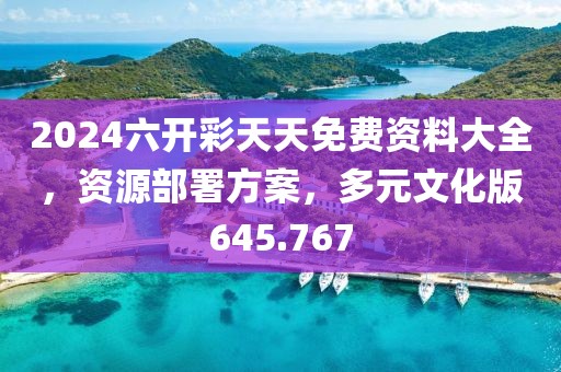 2024六开彩天天免费资料大全，资源部署方案，多元文化版645.767