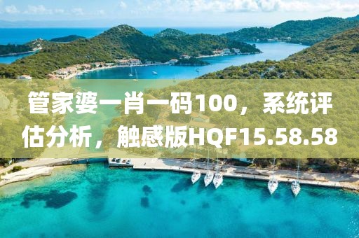 管家婆一肖一码100，系统评估分析，触感版HQF15.58.58