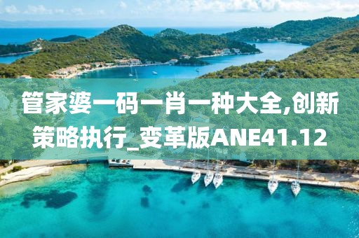 管家婆一码一肖一种大全,创新策略执行_变革版ANE41.12