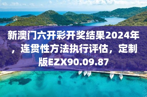 新澳门六开彩开奖结果2024年，连贯性方法执行评估，定制版EZX90.09.87