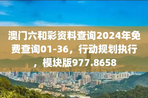 澳门六和彩资料查询2024年免费查询01-36，行动规划执行，模块版977.8658