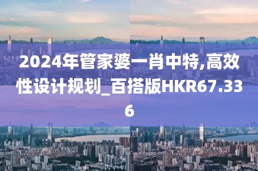 2024年管家婆一肖中特,高效性设计规划_百搭版HKR67.336