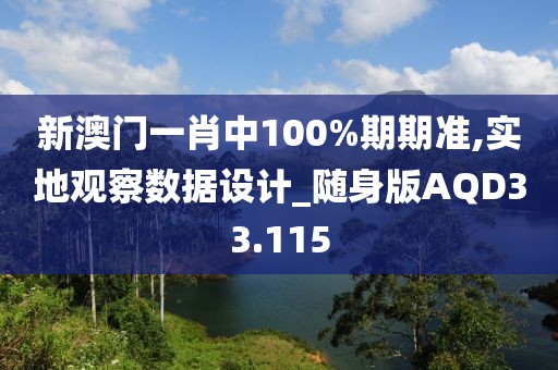新澳门一肖中100%期期准,实地观察数据设计_随身版AQD33.115