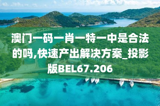 澳门一码一肖一特一中是合法的吗,快速产出解决方案_投影版BEL67.206