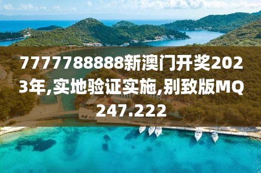 7777788888新澳门开奖2023年,实地验证实施,别致版MQ247.222