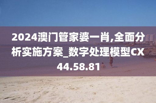 2024澳门管家婆一肖,全面分析实施方案_数字处理模型CX44.58.81