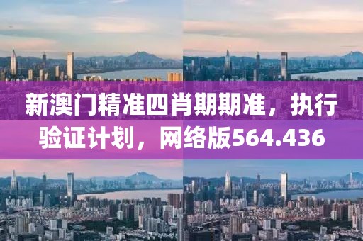 新澳门精准四肖期期准，执行验证计划，网络版564.436