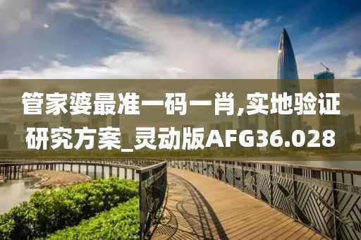 管家婆最准一码一肖,实地验证研究方案_灵动版AFG36.028