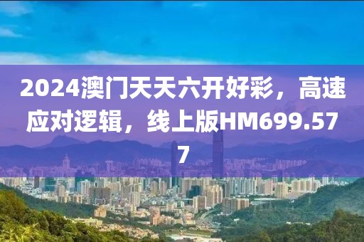 2024澳门天天六开好彩，高速应对逻辑，线上版HM699.577