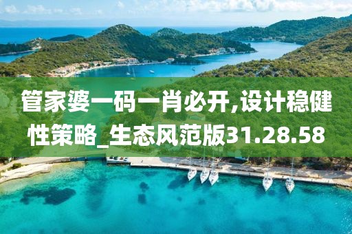 管家婆一码一肖必开,设计稳健性策略_生态风范版31.28.58