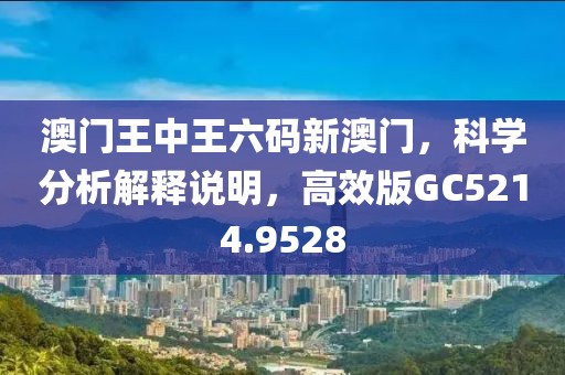 澳门王中王六码新澳门，科学分析解释说明，高效版GC5214.9528