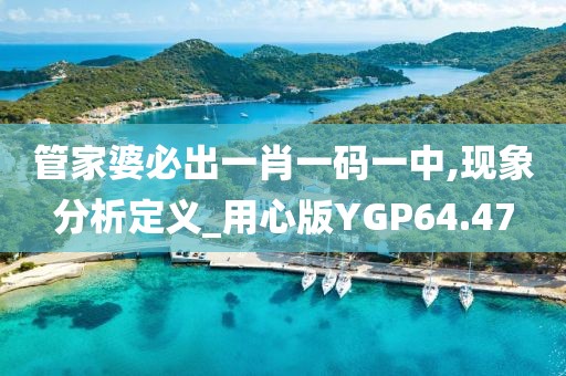 管家婆必出一肖一码一中,现象分析定义_用心版YGP64.47