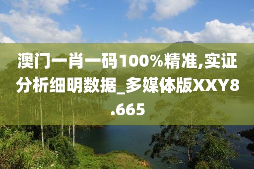 澳门一肖一码100%精准,实证分析细明数据_多媒体版XXY8.665