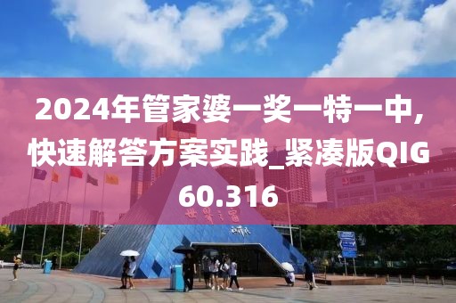 2024年管家婆一奖一特一中,快速解答方案实践_紧凑版QIG60.316