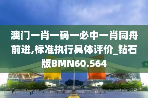 澳门一肖一码一必中一肖同舟前进,标准执行具体评价_钻石版BMN60.564